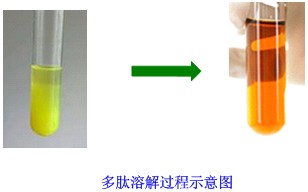 难溶肽纯化技术1